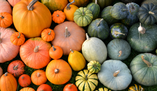 Want Healthier Winter Meals? Here Are 10 Squash Varieties You Need to Try