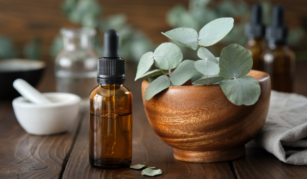 Eucalyptus: Uses, Benefits, Risks, and More