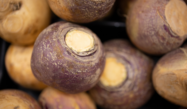 Rutabaga: A Nutrient-Rich Root Vegetable with Impressive Health Benefits