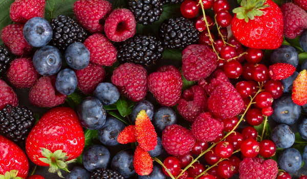 What Are Polyphenols and Why Are They Good for You?