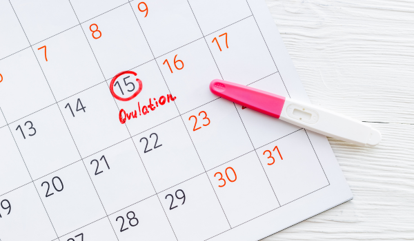 Why Understanding Ovulation Matters