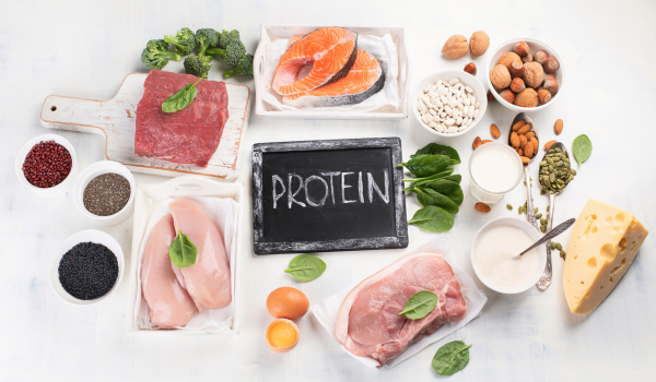 Protein: Everything You Need to Know About This Essential Nutrient