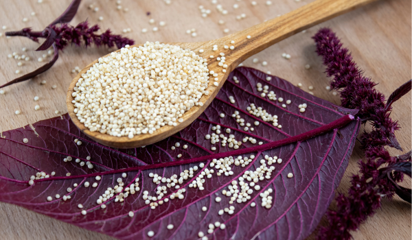 Top Health Benefits of Amaranth