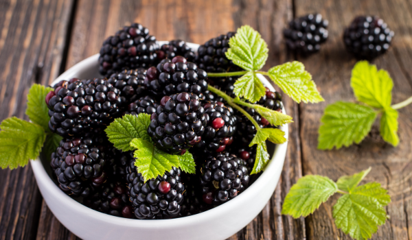 Top Science-Backed Benefits of Blackberries