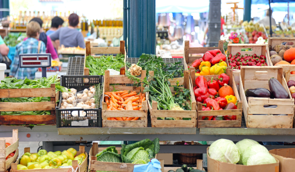 How to Stay Informed About Food Recalls and Protect Your Family