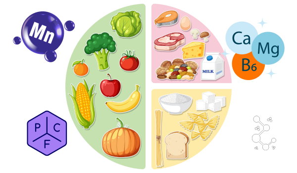 Macronutrients Explained: Carbs, Proteins, and Fats in a Balanced Diet