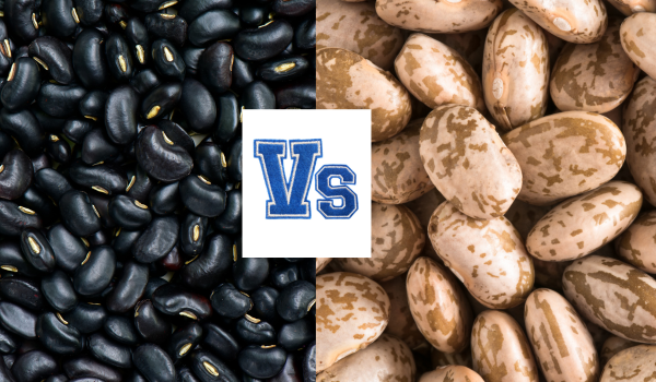 Black Beans vs. Pinto Beans: Which Are Better for Protein and Fiber?