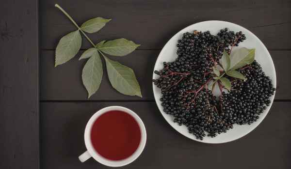 What Elderberry Tea Can Do for Your Immunity and Overall Health