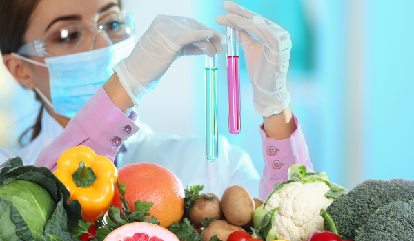 How Food Quality Affects Daily Comfort And Focus