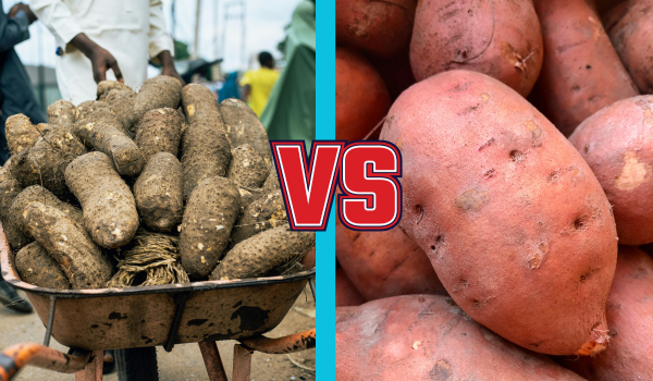 Yam vs. Sweet Potato: Which Is the Better Carb?