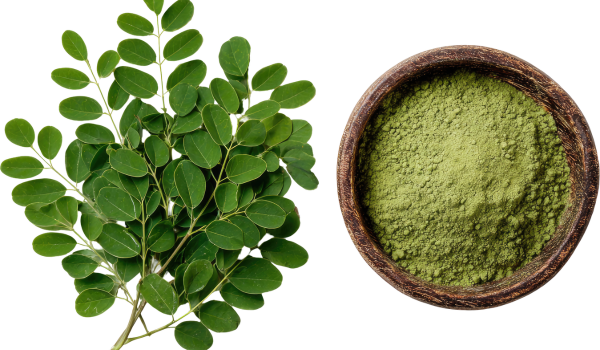 8 Benefits Of Moringa, Plus Nutrition And Potential Risks
