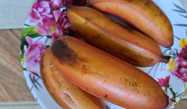 Health Benefits Of Red Bananas