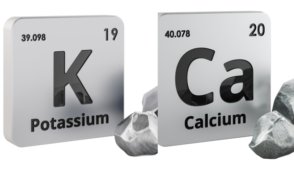 Can You Take Calcium And Potassium Together?