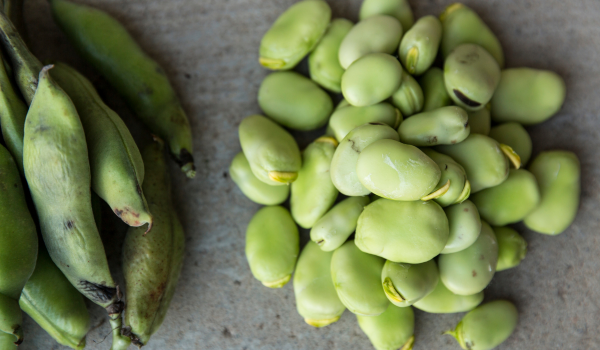 Lima Beans: 4 Benefits, Nutrition, And Potential Risks