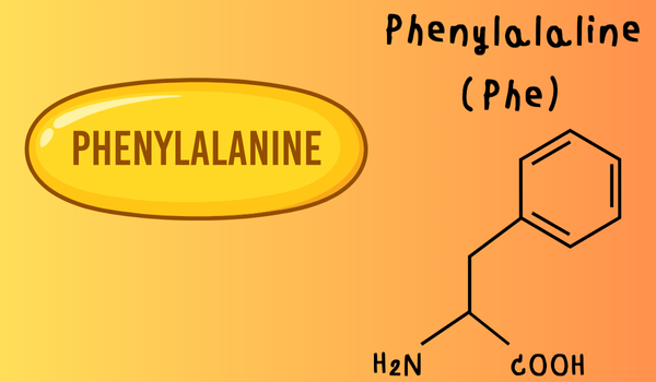 Is Phenylalanine Bad for You? What To Know