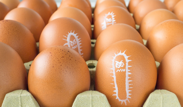 Urgent Recall: Dozens Sick After Salmonella-Contaminated Eggs
