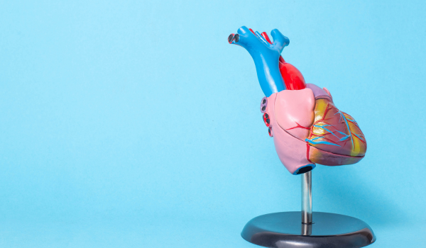 Pericarditis: Symptoms, Diagnosis, and Why Timely Management Matters