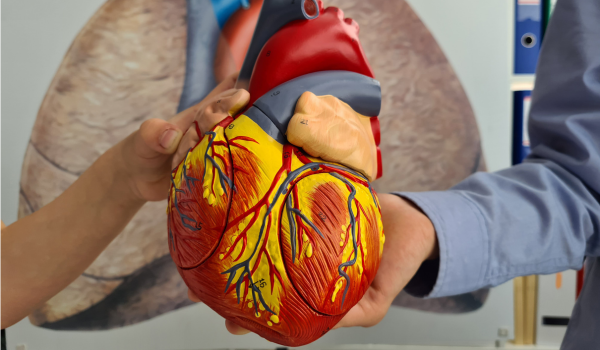 What Is Pericarditis?