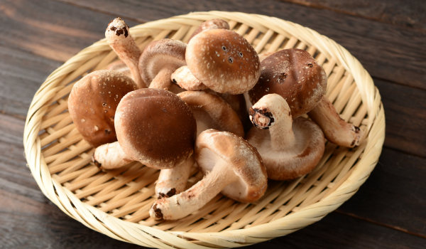 The Health Benefits of Shiitake Mushrooms