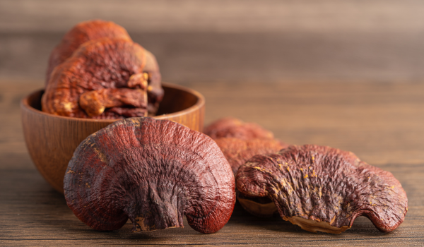 The Health Benefits of Reishi Mushrooms