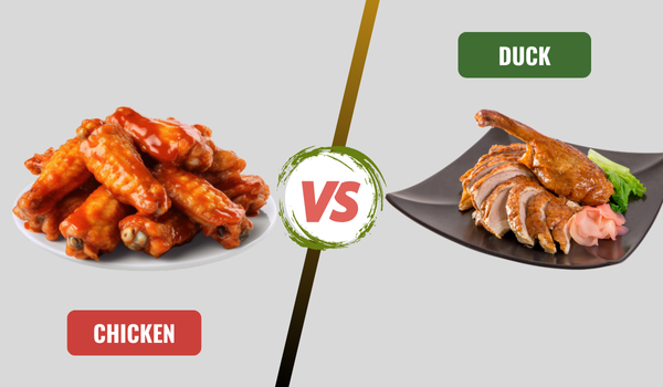 Chicken vs. Duck: Which Should You Choose?