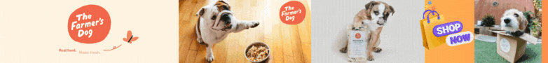 file-baner-dog.gif