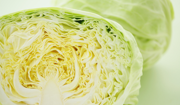 What Happens To Your Body When You Eat Cabbage Regularly