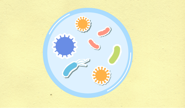 The Link Between H. pylori Infection and Stomach Cancer