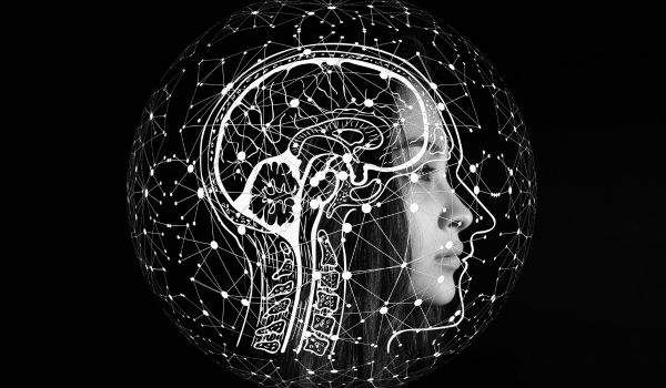 Mental Health: The Vital Element Often Overlooked