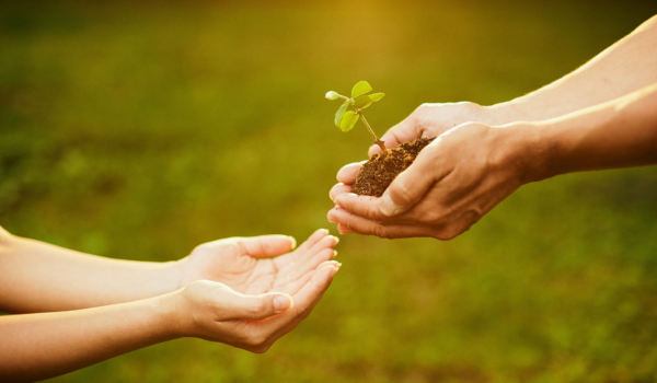 End-of-Life Care: A Guide for Caregivers in the Final Stages of Life