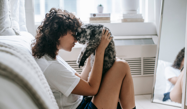 8 Proven Tips to Get a Cat to Like You More