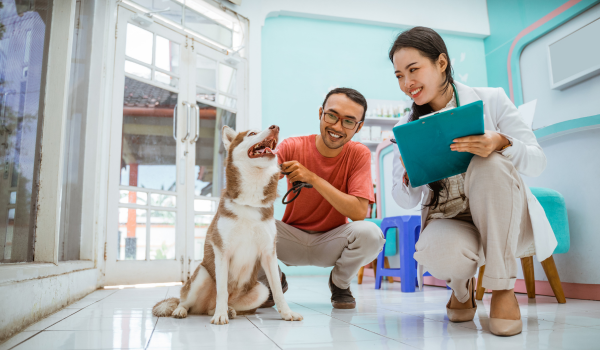 Vitamin C and Dogs: What You Really Need to Know