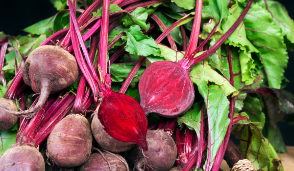 What Happens to Your Body When You Eat Beets Regularly