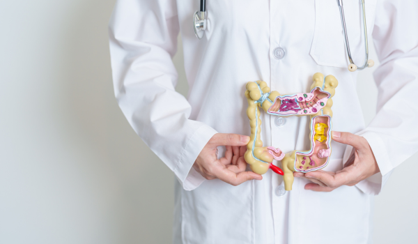 Natural Herbs for IBS (Irritable Bowel Syndrome) Relief