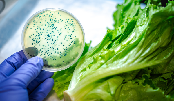 Hidden Dangers: Common Contaminants Behind Major Food Recalls