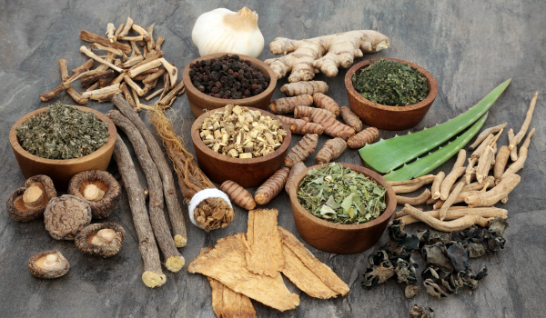 The Healing Power of Adaptogenic Herbs: Balancing Mind and Body