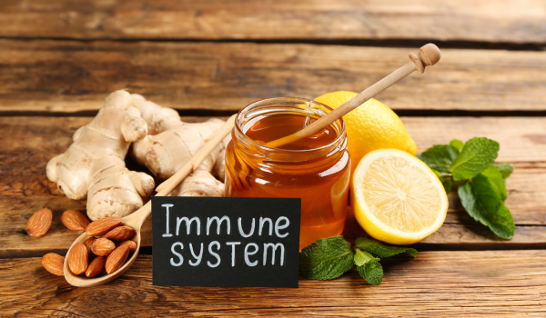 Top Immune-Supporting Foods You Can Add to Your Diet