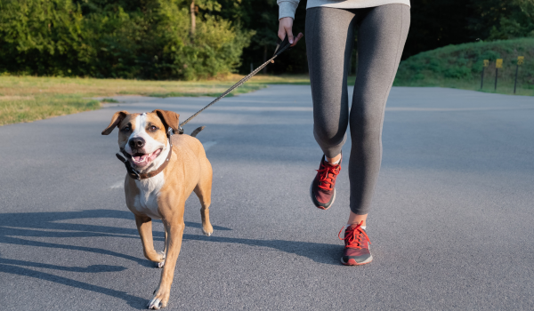 How to Start Walking to Lower Your Risk of Arrhythmia