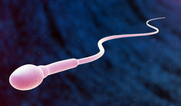 What Is Posthumous Sperm Retrieval?