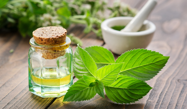 Does Peppermint Help With Nausea? Benefits, Uses, and Risks