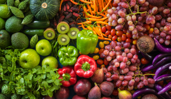 Understanding Food Diversity and Nutrition