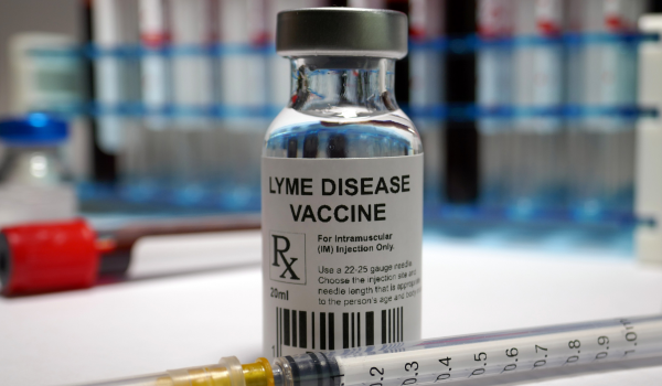 First Lyme Disease Vaccine in 20 Years Begins Final Clinical Trial—What You Need to Know