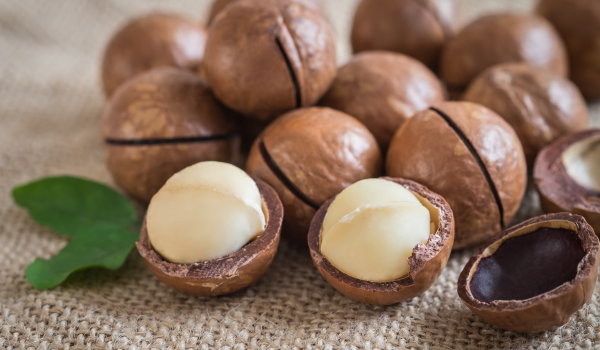 Health Benefits of Macadamia Nuts