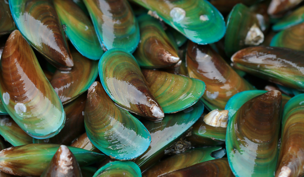 Health Benefits of Manganese: Daily Intake and Sources