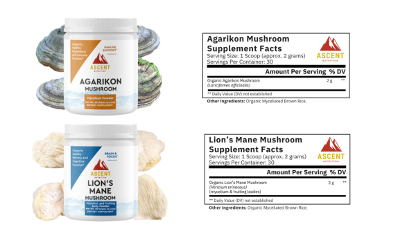 Mushroom Magic: Unlocking Brain Health and Focus with Lion’s Mane & Agarikon