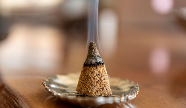 Everything You Need To Know About the Benefits and Uses of Palo Santo