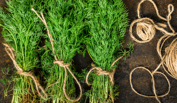 5 Health Benefits of Dill