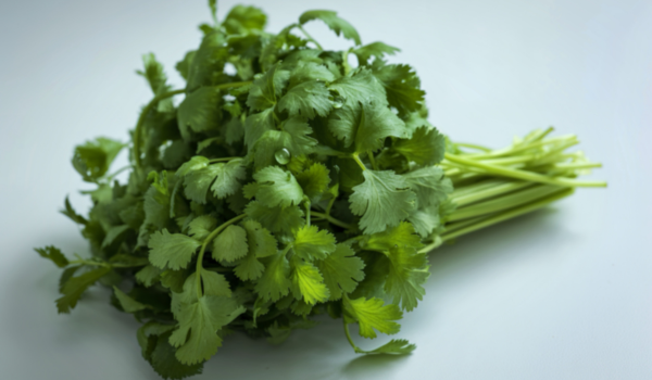 7 Health Benefits of Cilantro