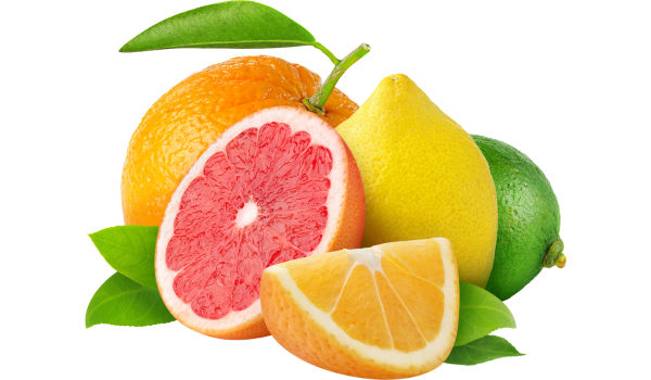Citrus Fruits: Vitamin C and Immune Support from Oranges, Lemons, and Grapefruits