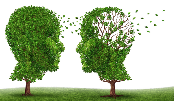Living With Schizophrenia: Breaking the Myths and Embracing Recovery
